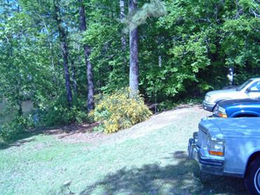 A view of a grassy area with several parked cars near the edge of a wooded area, featuring tall trees and sunny greenery in the background. Lake Maury mountain bike trail.