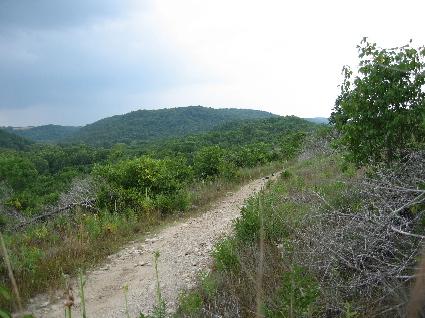 A dirt trail winding through a lush green landscape, surrounded by hills and scattered trees under a cloudy sky. Busiek State Forest mountain bike trail.