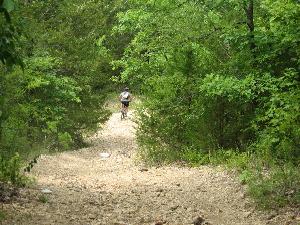 A person riding a bicycle on a gravel trail surrounded by lush green trees and foliage. The path is winding and leads further into the wooded area. Busiek State Forest mountain bike trail.