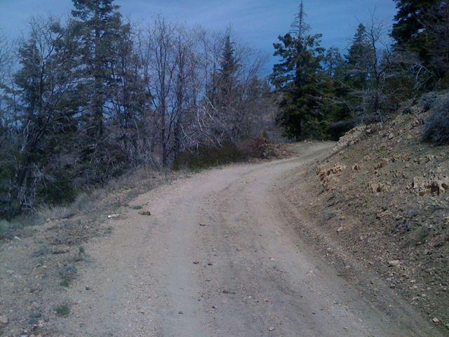 A winding dirt road traverses a mountainous area, bordered by a mix of green and bare trees under a cloudy sky. The road appears narrow and is flanked by rocky terrain on one side, suggesting a remote and rugged landscape. Pine Knot Trail mountain bike trail.