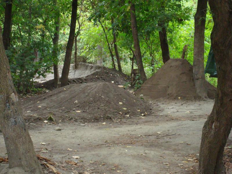 A wooded area featuring several dirt mounds and jumps, with trees and greenery surrounding the path. The scene suggests an informal bike or recreational area, with a clear dirt path leading through the landscape. Don Valley mountain bike trail.