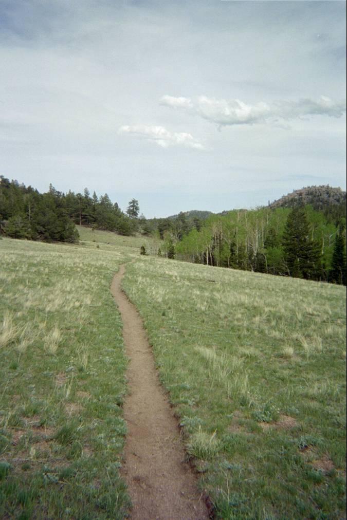 A dirt path winding through a grassy meadow, surrounded by trees and rolling hills under a cloudy sky. Beaver Meadows mountain bike trail.