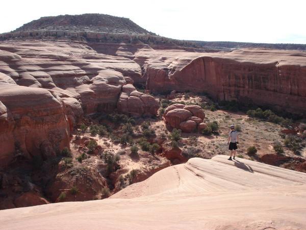 A person standing on a sandstone formation overlooking a rugged, arid landscape with rock formations and shrubs, under a clear blue sky. Bartlett Wash mountain bike trail.