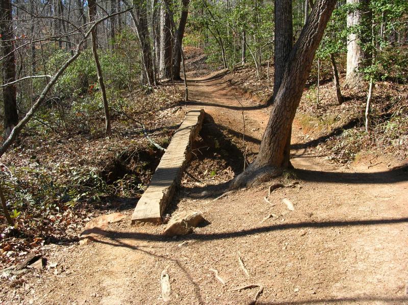 A narrow wooden bridge crossing a small gap in a forested hiking trail, surrounded by trees, shrubs, and fallen leaves. The path is dirt with shadows cast from the sunlight filtering through the foliage. Paris Mountain State Park mountain bike trail.