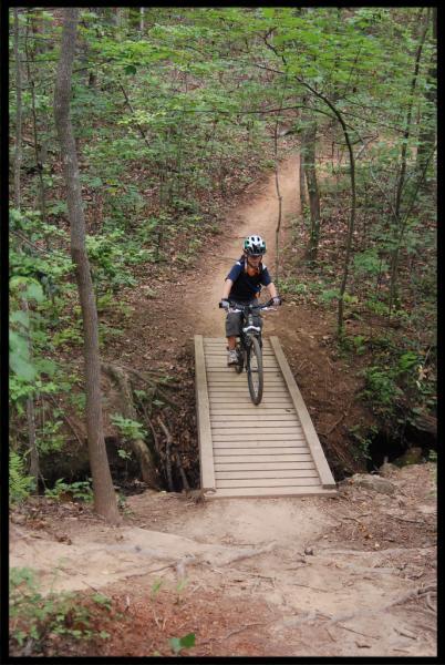 A person riding a mountain bike across a wooden bridge in a forested area, surrounded by lush green trees and a dirt path leading into the distance. Paris Mountain State Park mountain bike trail.