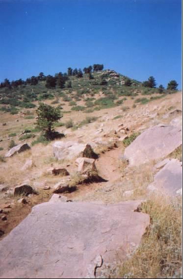 A rocky, sloped landscape with patches of green grass and a few scattered trees leading up to a hill under a clear blue sky. A dirt path winds through the rocks, suggesting a hiking trail. Foothills Trail mountain bike trail.