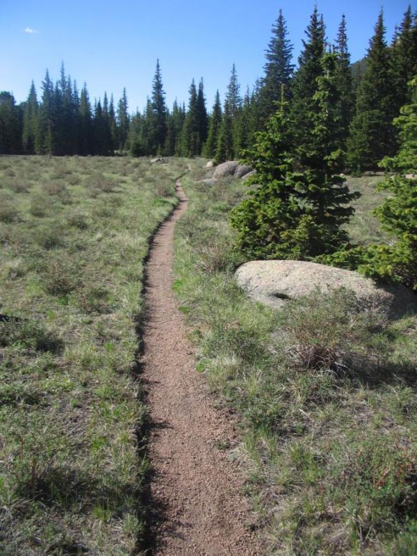 A narrow dirt path winding through a grassy meadow, flanked by scattered rocks and evergreen trees under a clear blue sky. The scene conveys a serene outdoor setting ideal for hiking and enjoying nature. Elk Park Trail mountain bike trail.