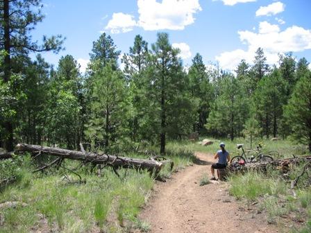 A person sitting on a dirt path in a forested area, surrounded by tall pine trees and scattered fallen logs. A bicycle leans against a tree nearby. The sky is bright with fluffy white clouds. Oldham Trail mountain bike trail.