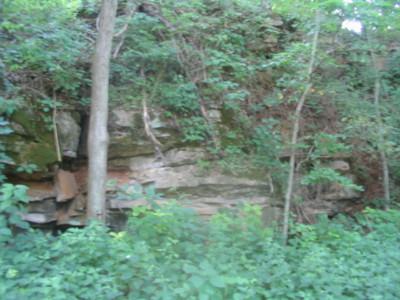 A rocky cliffside covered with vegetation, including trees and dense greenery, surrounded by a natural forest setting. Knights Path mountain bike trail.