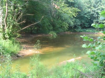 A serene view of a forested area with a calm, shallow river surrounded by lush greenery and tree branches. The sunlight filters through the leaves, creating a peaceful natural setting. Knights Path mountain bike trail.