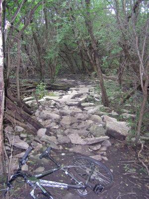 A rocky trail surrounded by dense trees, with a black and silver bicycle lying on the ground. The path is uneven and covered with large stones, indicating a rugged outdoor area. Thompson Park Rec Trail mountain bike trail.