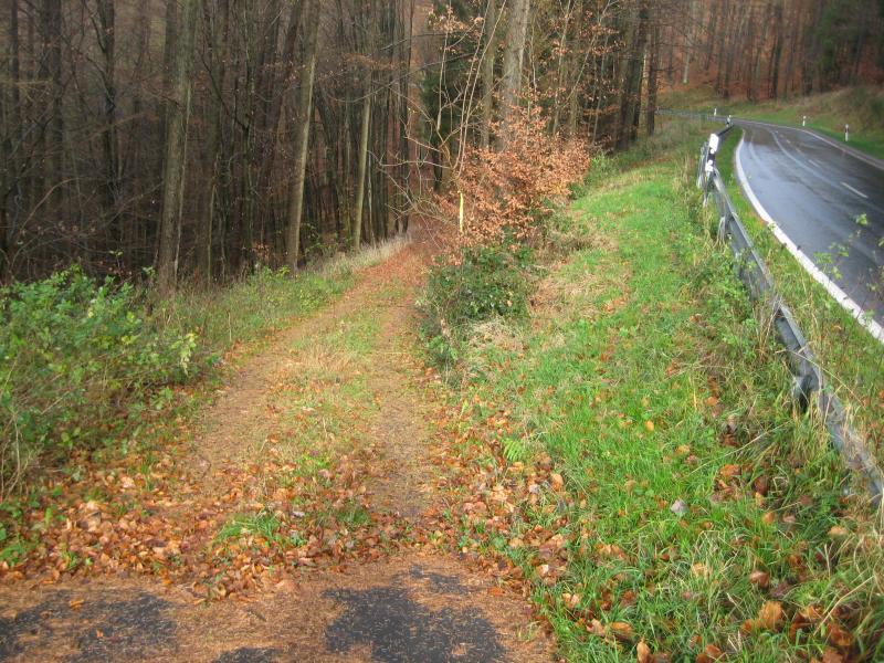 A narrow dirt path diverging from a paved road, surrounded by dense trees and patches of grass. Fallen leaves cover the ground, indicating autumn. The paved road is wet, suggesting recent rainfall, and features a guardrail on the right side. Waldfischbach-burgalben mountain bike trail.
