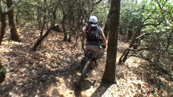 A person biking on a narrow dirt trail through a dense forest, wearing a white helmet and a backpack, surrounded by trees and underbrush. Black Mountain mountain bike trail.