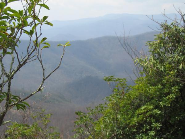 A scenic view of layered mountains under a cloudy sky, framed by branches and greenery in the foreground. The landscape showcases varying shades of brown and green, indicating diverse vegetation and terrain. Black Mountain mountain bike trail.