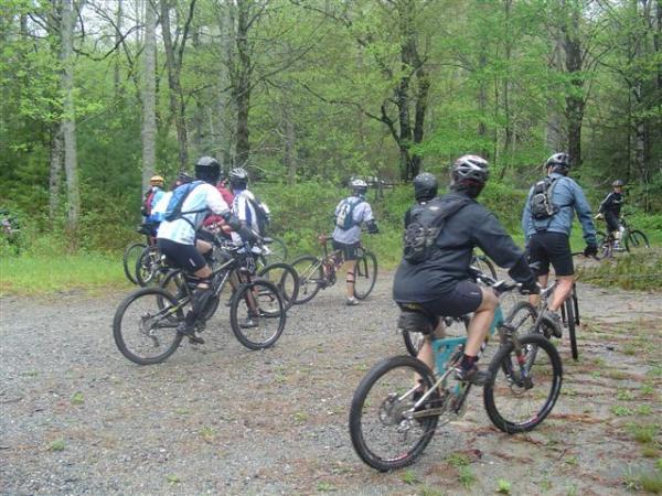 A group of mountain bikers in helmets and activewear, preparing to ride on a gravel path in a forested area with lush green trees. Some cyclists are positioned in a line, facing away from the camera, while others are partially visible in the background. The scene conveys a sense of adventure and outdoor activity. Black Mountain mountain bike trail.