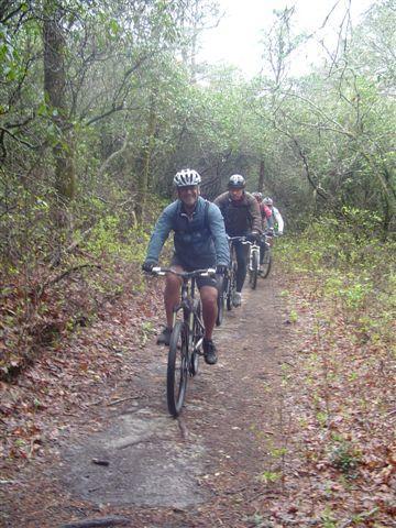 A group of four cyclists riding along a narrow, tree-lined dirt path in a lush, green environment. The lead cyclist, wearing a helmet and a blue jacket, is in focus, while the others follow closely behind. The scene suggests a recreational outing in nature, possibly on a rainy day, with wet ground and dense foliage surrounding the trail. Black Mountain mountain bike trail.
