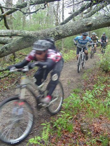 A group of mountain bikers navigating a narrow trail surrounded by trees, with one rider in the foreground in motion, slightly blurred to convey speed. An angled tree branch is visible overhead, adding a natural obstacle to the path. The scene is lush with green foliage, suggesting a forested environment. Black Mountain mountain bike trail.