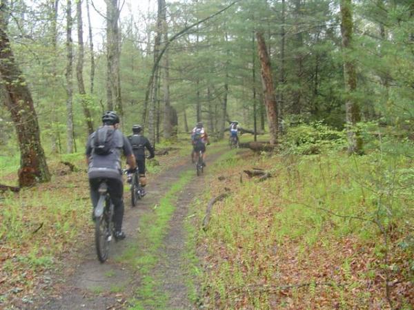 A group of mountain bikers riding on a narrow dirt path through a lush green forest, surrounded by trees and foliage. The scene captures the cyclists from behind as they navigate the trail. Black Mountain mountain bike trail.