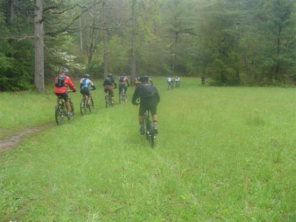 A group of mountain bikers riding on a grassy trail surrounded by trees in a forested area. The scene captures multiple cyclists from the back as they navigate the path, showcasing a lush green landscape. Black Mountain mountain bike trail.