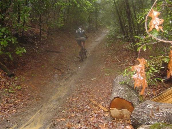 A cyclist riding on a muddy trail through a dense forest during rain, with fallen leaves and logs alongside the path. Black Mountain mountain bike trail.