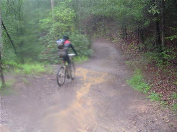 A cyclist riding a mountain bike on a muddy, winding trail through a lush, green forest. The image is slightly blurred, suggesting motion or a damp environment. Black Mountain mountain bike trail.