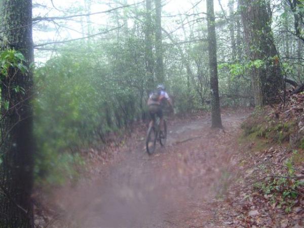 A mountain biker riding along a narrow, muddy trail surrounded by dense trees and vegetation, with light fog obscuring the view. The scene captures the ruggedness of the terrain and the atmosphere of a misty outdoor adventure. Black Mountain mountain bike trail.
