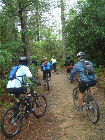 A group of five mountain bikers riding along a dirt trail in a dense forest, surrounded by greenery and tall trees. The cyclists are dressed in various outdoor sportswear and are seen from the back as they navigate the winding path. Black Mountain mountain bike trail.