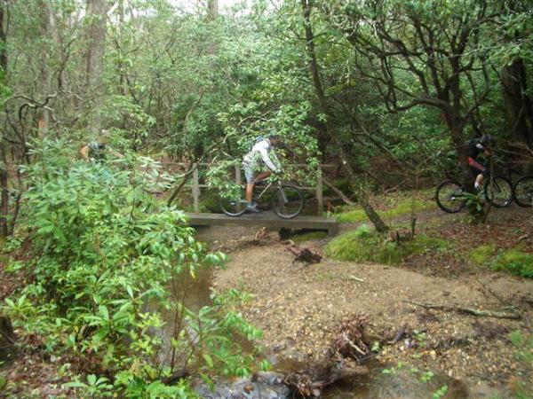 Two cyclists navigate a forested trail. One cyclist is crossing a small wooden bridge over a shallow stream, while the other cyclist is visible in the background near the edge of the trail. The surrounding area is lush with greenery, including trees and shrubs. Black Mountain mountain bike trail.