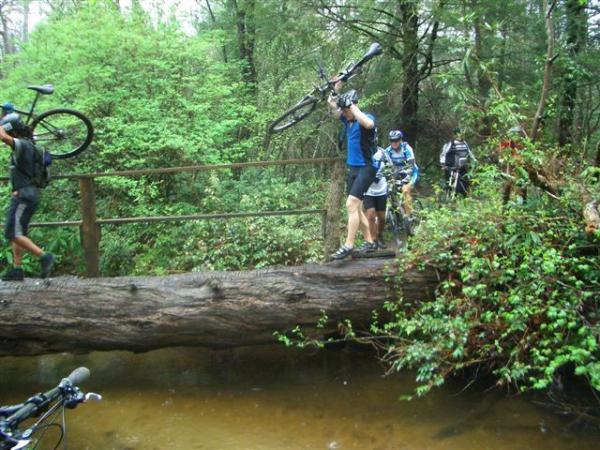 A group of mountain bikers carefully cross a fallen log over a shallow stream in a lush, green forest. One rider is carrying their bike on their shoulder, while others navigate the log behind them. The scene is indicative of an adventurous outdoor activity in a natural setting. Black Mountain mountain bike trail.