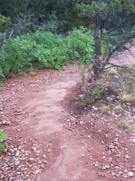 A winding dirt path through a green, bushy area with scattered rocks, surrounded by trees. The path appears slightly worn, leading deeper into the natural surroundings. Red Rock Canyon mountain bike trail.