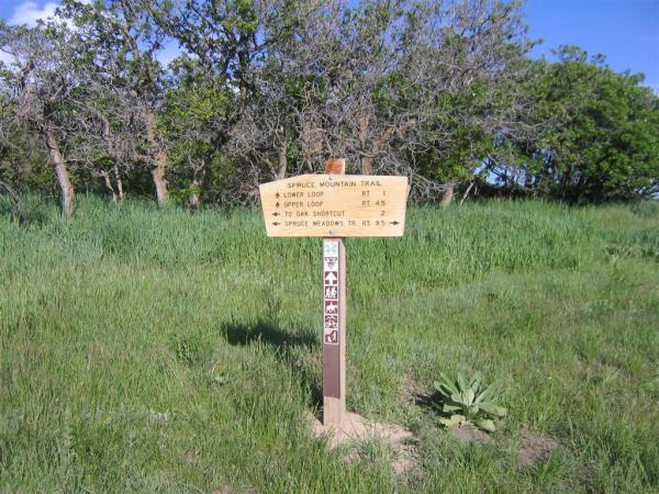 Wooden trail sign marking the Spruce Mountain Trail with information on various loops and distances, surrounded by green grass and trees under a clear sky. Spruce Mountain Trail Upper Loop mountain bike trail.