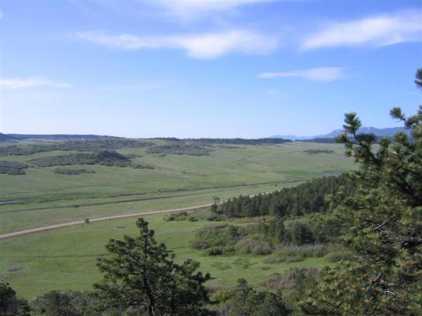 A scenic view of a vast landscape featuring rolling green hills, dotted with patches of trees under a clear blue sky. A winding dirt road cuts through the grassy terrain, leading towards distant mountains. The foreground includes evergreen trees framing the view. Spruce Mountain Trail Upper Loop mountain bike trail.