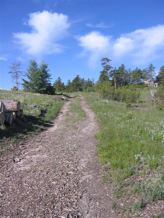 A dirt path meanders through a grassy landscape, surrounded by trees under a blue sky with scattered clouds. The trail appears well-trodden, leading into the distance. Spruce Mountain Trail Upper Loop mountain bike trail.