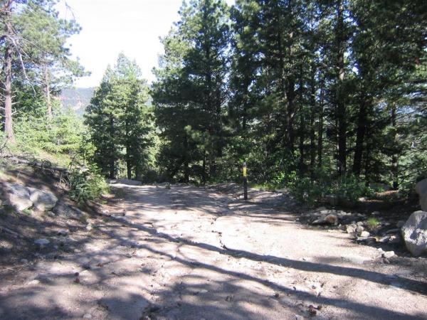 A gravel path winding through a dense forest of tall pine trees, with sunlight filtering through the branches. The trail is uneven and rocky, and a yellow marker post is visible along the side of the path, indicating directions for hikers. Spruce Mountain Trail Upper Loop mountain bike trail.