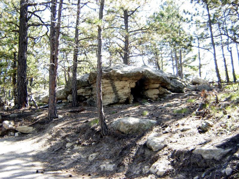 A rocky outcrop nestled among tall pine trees in a sunlit forest, with a few scattered stones on the ground and a partially sheltered area beneath the larger rock. Spruce Mountain Trail Upper Loop mountain bike trail.