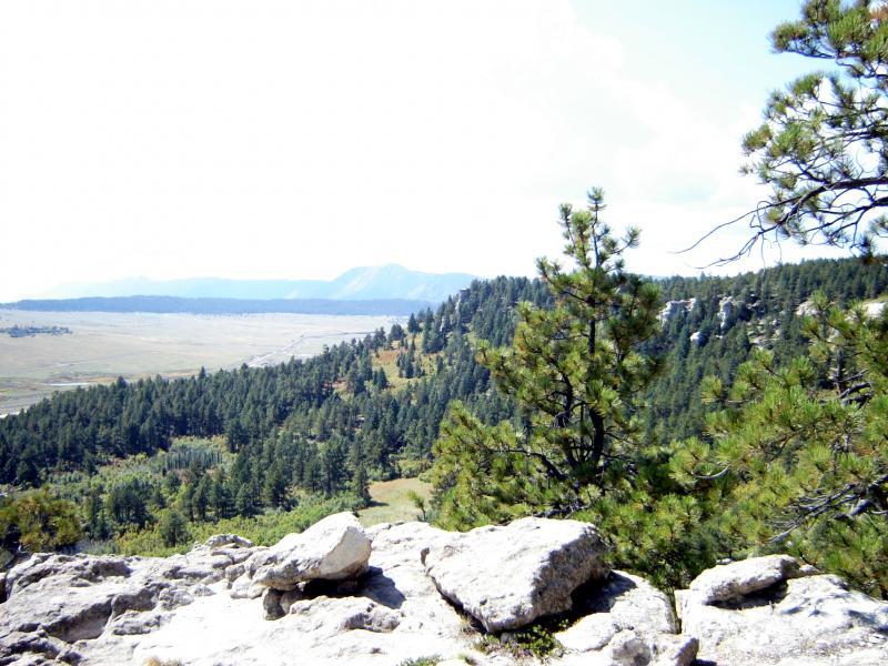 A scenic landscape view showcasing lush green forests and rolling hills under a bright sky. In the foreground, large rocks are visible, while the background features distant mountains and open terrain, creating a serene and natural setting. Spruce Mountain Trail Upper Loop mountain bike trail.
