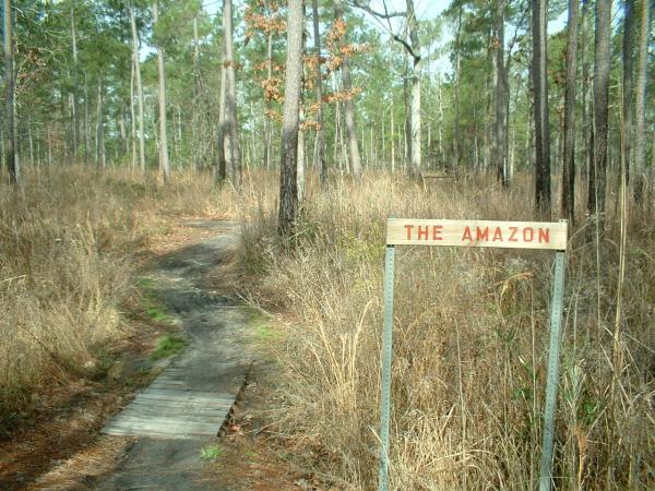 A narrow winding path through a natural landscape, surrounded by tall trees and tall grasses, with a wooden signpost reading "THE AMAZON" at the forefront. Marrington Trail mountain bike trail.