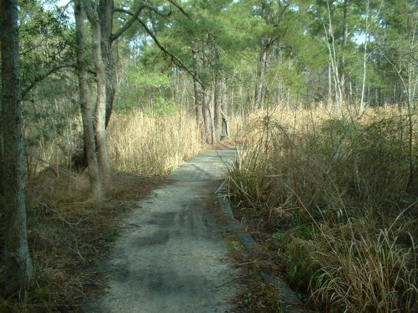 A narrow, winding path through a wooded area, flanked by tall grasses and trees. The ground is covered with a mix of dirt and gravel, leading deeper into the natural surroundings. The scene captures a serene outdoor setting, suggesting a tranquil walk through nature. Marrington Trail mountain bike trail.