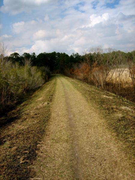 A dirt path stretches into the distance, bordered by greenery on both sides. The scene is set against a backdrop of trees and a cloudy sky, suggesting a tranquil and scenic outdoor environment. Marrington Trail mountain bike trail.