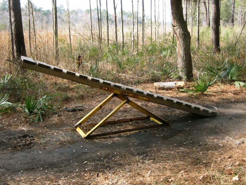 A wooden ramp placed at an incline on a dirt path, surrounded by tall trees and vegetation in a forested area. The ramp is supported by a yellow frame and features a textured surface for grip. Marrington Trail mountain bike trail.
