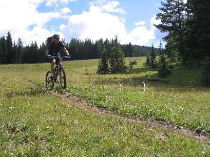 A mountain biker navigating a grassy trail in a forested area, surrounded by green trees and a blue sky with scattered clouds. Doctor Park mountain bike trail.