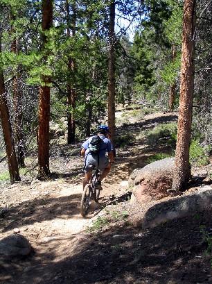 A cyclist riding a mountain bike on a dirt trail surrounded by tall trees and rocky terrain. The scene depicts a sunny day in a forested area with greenery and sunlight filtering through the branches. Doctor Park mountain bike trail.