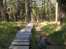 A wooden boardwalk leading through a forested area, surrounded by tall trees and green underbrush. A bicycle is lying on the ground beside the path. Gillard Mountain mountain bike trail.