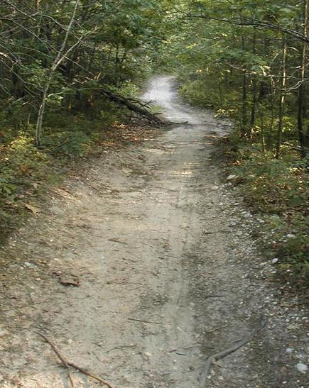 A dirt path winding through a forest, surrounded by greenery and dense trees. The trail is lined with small stones and appears to lead deeper into the woods. Sunlight filters through the foliage, creating a peaceful, natural atmosphere. Glacier Ridge Preserve mountain bike trail.