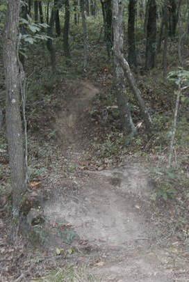 A dirt bike trail winding through a wooded area, featuring a small incline and surrounded by trees and foliage. The path is narrow, with visible tire tracks and fallen leaves scattered on the ground. Glacier Ridge Preserve mountain bike trail.