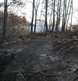 A narrow dirt path winding through a wooded area with sparse trees. The ground is covered with dried leaves and twigs, while a body of water is faintly visible in the background beneath a dusky sky. Glacier Ridge Preserve mountain bike trail.