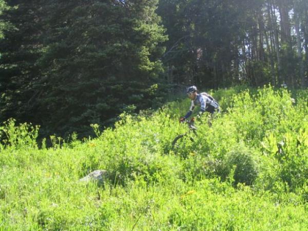 A mountain biker riding through a lush, green hillside covered with tall grass and wildflowers, surrounded by trees in a sunny outdoor setting. Dyke mountain bike trail.