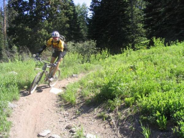 A cyclist in a yellow jersey navigates a dirt trail surrounded by lush green foliage and trees. The cyclist is leaning slightly to the right as they ride along a winding path, showcasing an active outdoor scene. Dyke mountain bike trail.