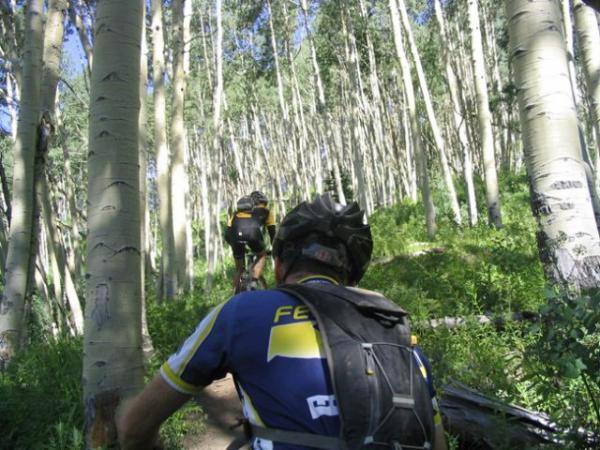A group of mountain bikers navigating a narrow trail through a densely wooded area with tall aspen trees. Sunlight filters through the leaves, illuminating the green underbrush. One rider is in the foreground, wearing a blue jersey and a helmet, while another cyclist is visible further up the trail. Dyke mountain bike trail.