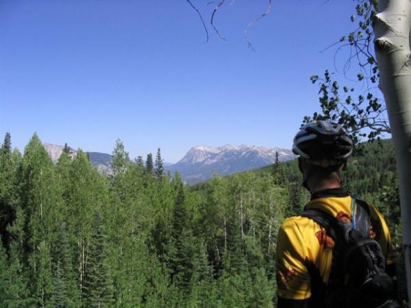 A mountain biker in a yellow cycling jersey and helmet stands overlooking a lush green forest, with mountains visible in the distance under a clear blue sky. Dyke mountain bike trail.